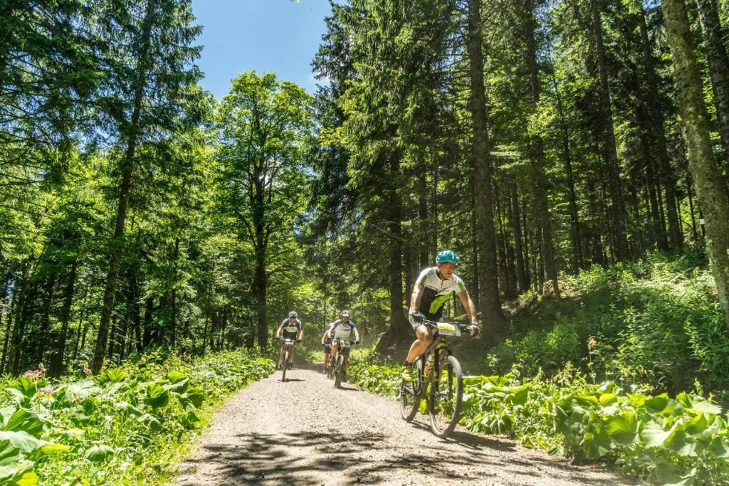 Waldoase Titisee Exterior photo