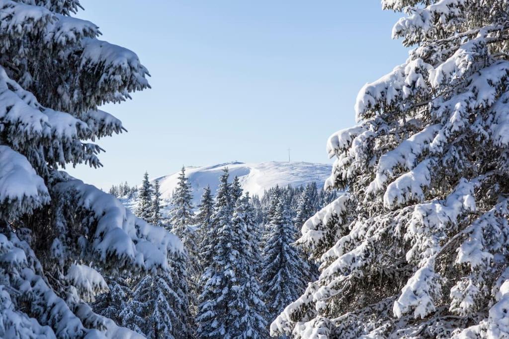 Waldoase Titisee Exterior photo